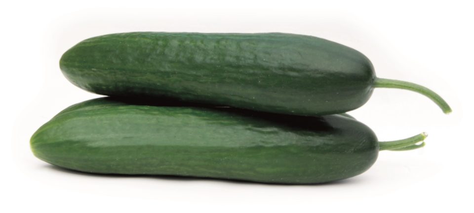 Cucumber Elegant